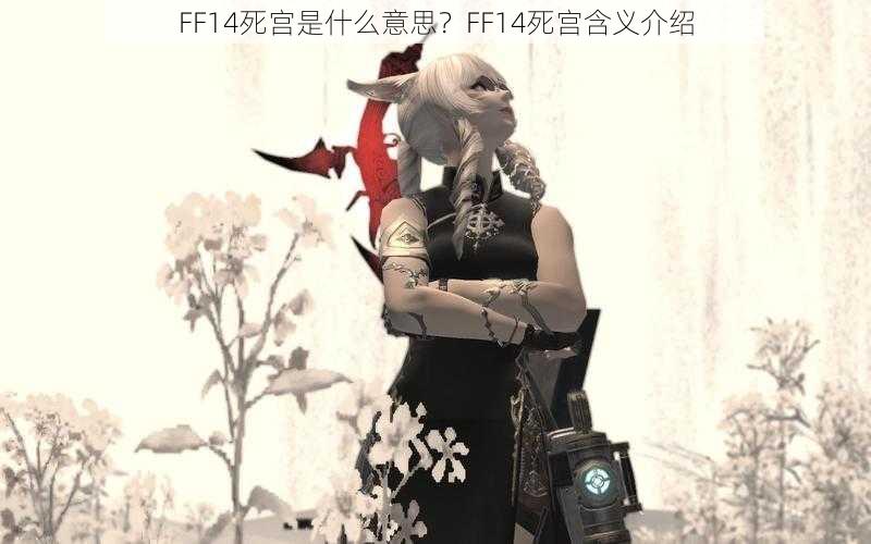 FF14死宫是什么意思？FF14死宫含义介绍